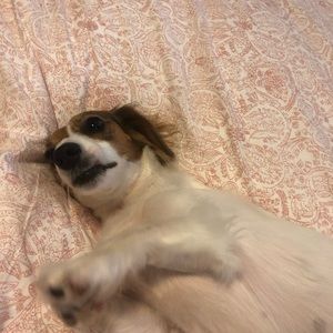 Meet your Posher, Fran